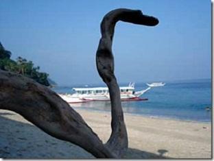 Rem'S Virgin Island Hotel Puerto Galera Exterior photo